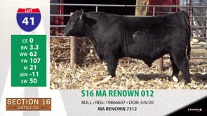 Lot #41 - S16 MA RENOWN 012