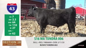 Lot #43 - S16 MA TUNDRA 006
