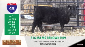 Lot #45 - S16 MA MS RENOWN H09