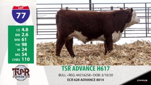 Lot #77 - TSR ADVANCE H617