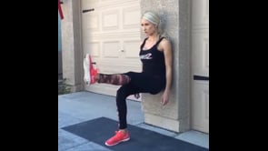 Reverse Lunge Knee Lift With Hop, Crab Leg Lifts, Squat Knee to Elbow, Squat Wall Front Kicks