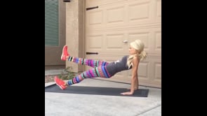 Side Plank, Elbow Plank, Reverse Plank Leg Lifts, Elbow Plank Leg Lifts