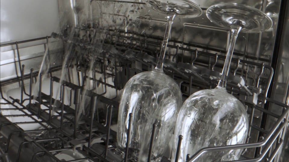 7457_GG_Dishwasher_v10-loop