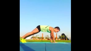 Elbow Plank, Side Plank Variation, Pushups, Crane Pose