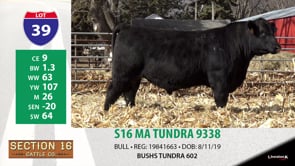 Lot #39 - S16 MA TUNDRA 9338