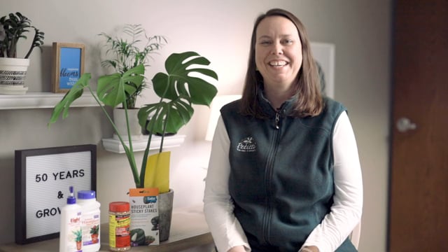 How to Control & Remove Fungus Gnats from Your Houseplants