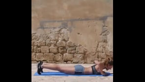 Plank Variation, Plank Jumps, Plank Jumping Jacks, Plank High Knee Lifts, Elbow Plank Side Leg Lifts, Elbow Plank Reverse Leg Lifts, Elbow Plank Hip Twist, Pushups