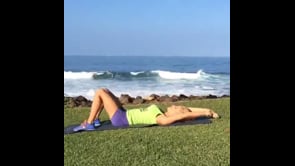 Reverse Plank Leg Lifts, Long Arm Crunches, Twist Plank Variation, Long Arm Vertical Crunches