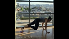 One Legged Plank Variation