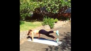 Lunge Jumps Variation, Pushups, Step Jumps, Pushup Variation with Jumps, Pushups with Reverse Leg Lifts