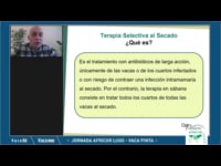 Tratamento selectivo ao secado: que é o que funciona e o que non?