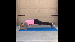 Elbow Plank with Leg Lift, Elbow Plank Twist, Crunch Twist, Downward Facing Dog, Plank Jump, Scissors