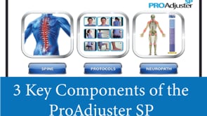 ProAdjuster SP Vignette 3_2