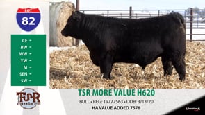 Lot #82 - TSR MORE VALUE H620