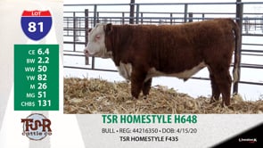 Lot #81 - TSR HOMESTYLE H648