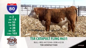Lot #80 - TSR CATAPULT FLING H631