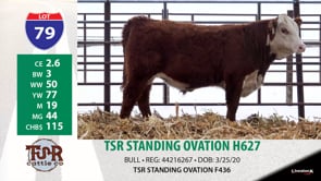 Lot #79 - TSR STANDING OVATION H627