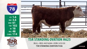 Lot #78 - TSR STANDING OVATION H625