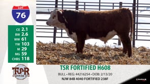 Lot #76 - TSR FORTIFIED H608