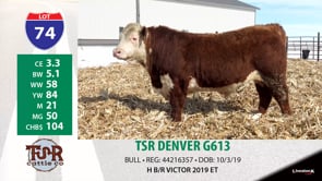 Lot #74 - TSR DENVER G613