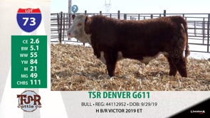 Lot #73 - TSR DENVER G611