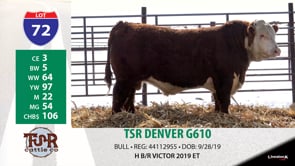 Lot #72 - TSR DENVER G610