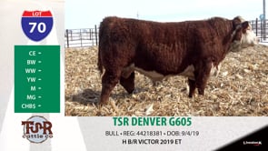 Lot #70 - TSR DENVER G605