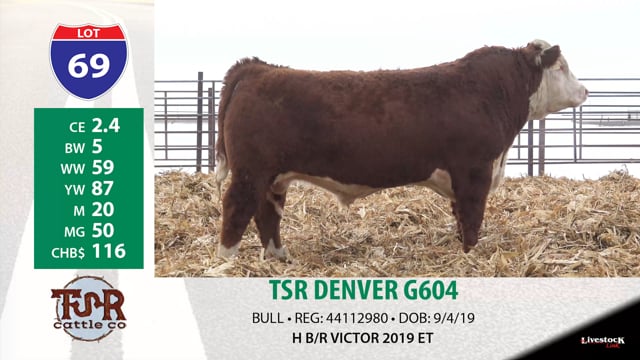 Lot #69 - TSR DENVER G604