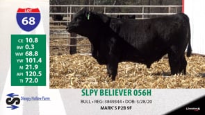 Lot #68 - SLPY BELIEVER 056H
