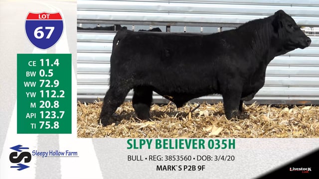 Lot #67 - SLPY BELIEVER 035H