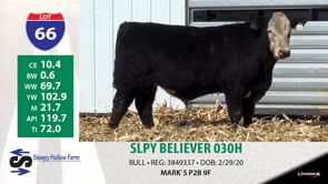 Lot #66 - SLPY BELIEVER 030H