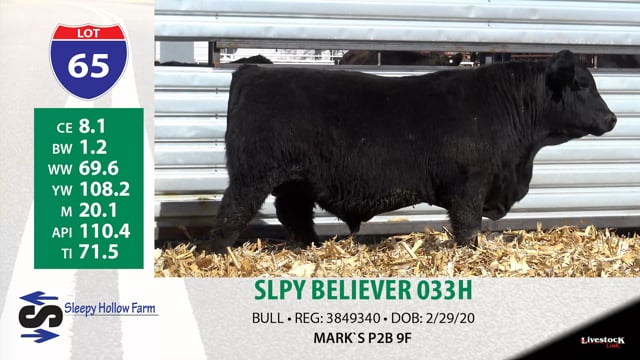 Lot #65 - SLPY BELIEVER 033H