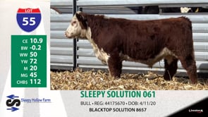Lot #55 - SLEEPY SOLUTION 061