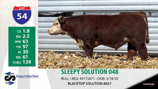 Lot #54 - SLEEPY SOLUTION 048