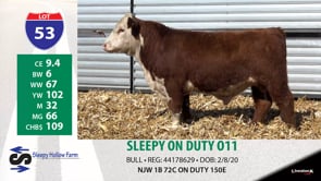Lot #53 - SLEEPY ON DUTY 011