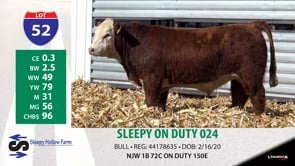 Lot #52 - SLEEPY ON DUTY 024