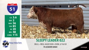 Lot #51 - SLEEPY LEADER 022