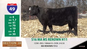 Lot #49 - S16 MA MS RENOWN H11