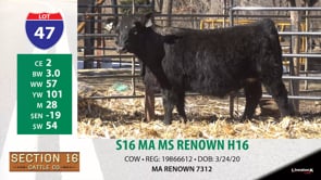 Lot #47 - S16 MA MS RENOWN H16