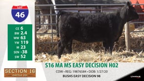 Lot #46 - S16 MA MS EASY DECISION H02