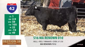 Lot #42 - S16 MA RENOWN 010