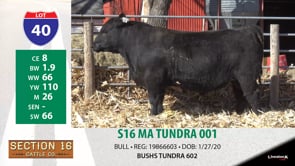 Lot #40 - S16 MA TUNDRA 001