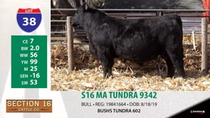 Lot #38 - S16 MA TUNDRA 9342