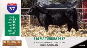Lot #37 - S16 MA TUNDRA 9317