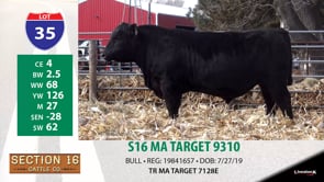 Lot #35 - S16 MA TARGET 9310