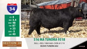 Lot #34 - S16 MA TUNDRA 9318