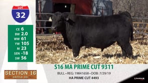 Lot #32 - S16 MA PRIME CUT 9311