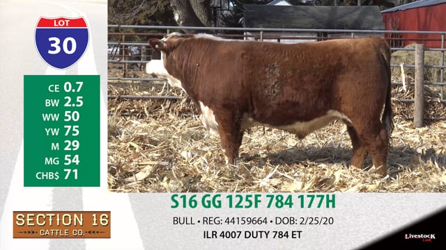 Lot #30 - S16 GG 125F 784 177H