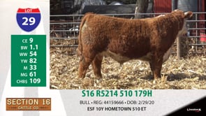 Lot #29 - S16 R5214 510 179H
