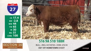 Lot #27 - S16 9A 510 188H